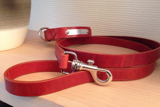 Collier et laisse pour chien  en cuir Victoria