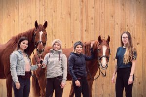 Salon du Cheval au centre équestre La Barotte à Châtillon